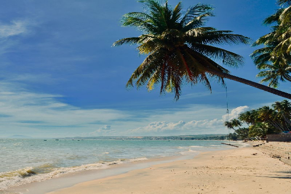 7D6N Dalat – Nha Trang - Da Nang Tour - photo 10